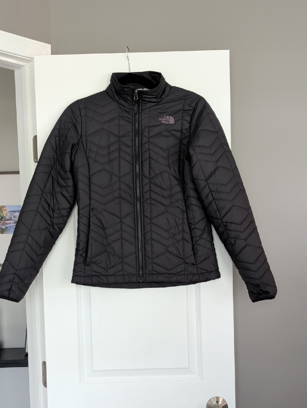 The North Face Black Quilted Puffer Jacket - Women's